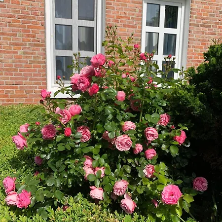 Johanna Casa de Férias Hooksiel