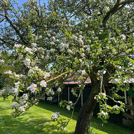 Johanna Holiday home Hooksiel