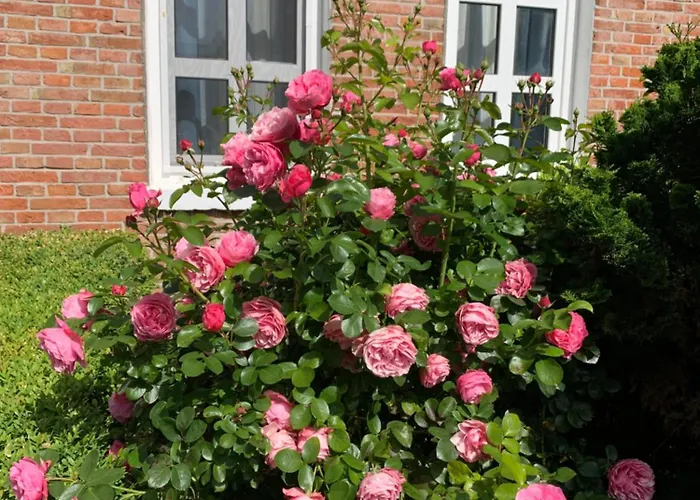 Johanna Ferienhaus Hooksiel